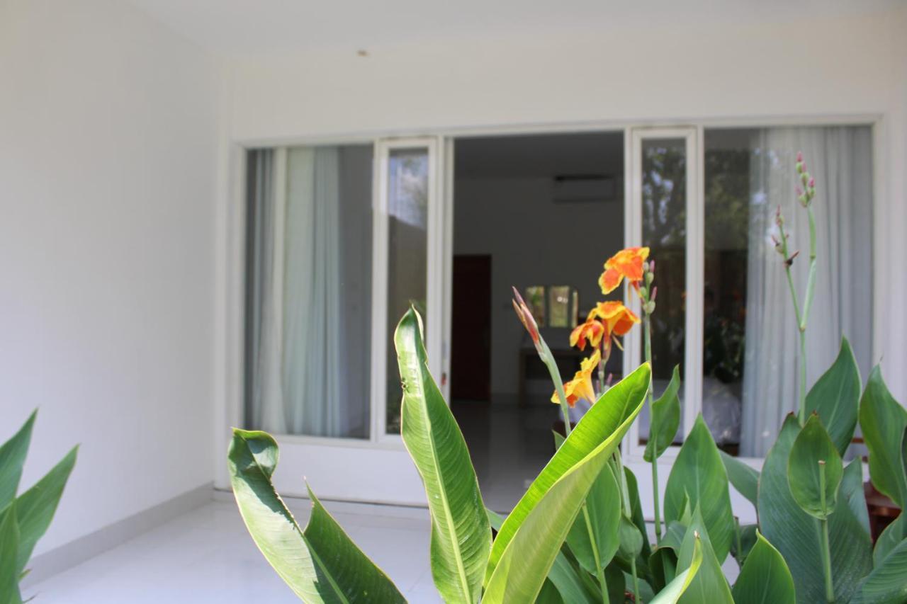 Turtle House Lombok 호텔 Kuta  외부 사진